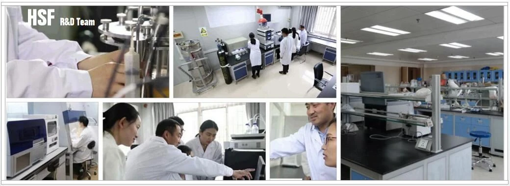 HSF R&D team