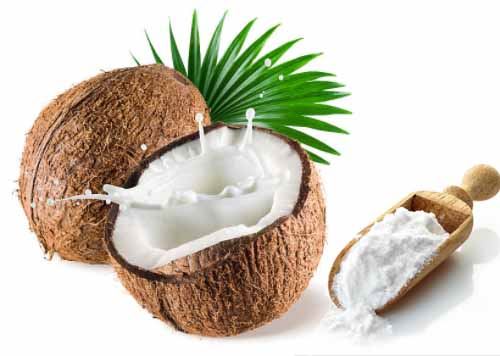 Organic Coconut MCT Powder