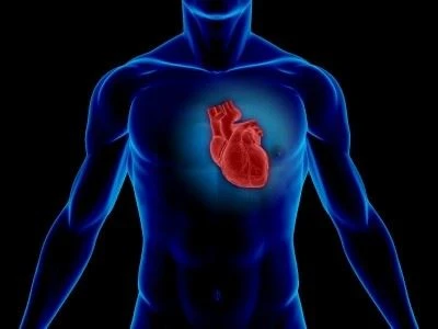Tocotrienol for Lowering Cholesterol Tocotrienol for Lowering Cholesterol