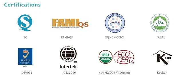 Certification and Qualification