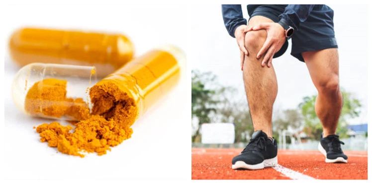 Turmeric extract Protects Human Joints Turmeric extract Protects Human Joints