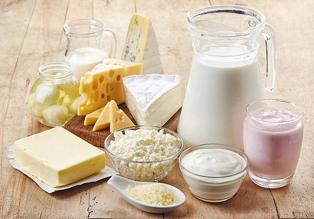 dairy products dairy products