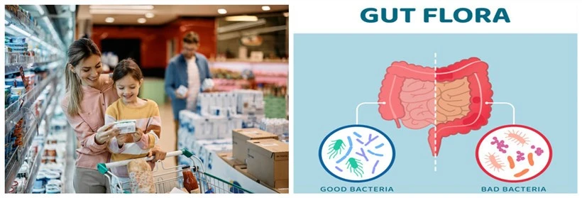 Gastrointestinal health Gastrointestinal health