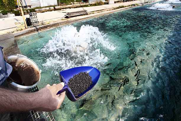 istockphoto-157592224-612x6121 istockphoto-157592224-612x6121