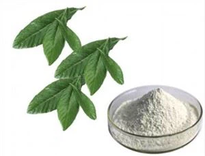 Ursolic Acid Powder