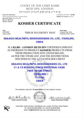 Instantized BCAA Powder 4:1:1